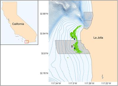 Diel and Seasonal Variability in Kelp Forest Soundscapes Off the Southern California Coast